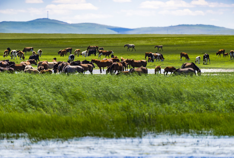 内蒙古,草原的诗情与远方的呼唤
