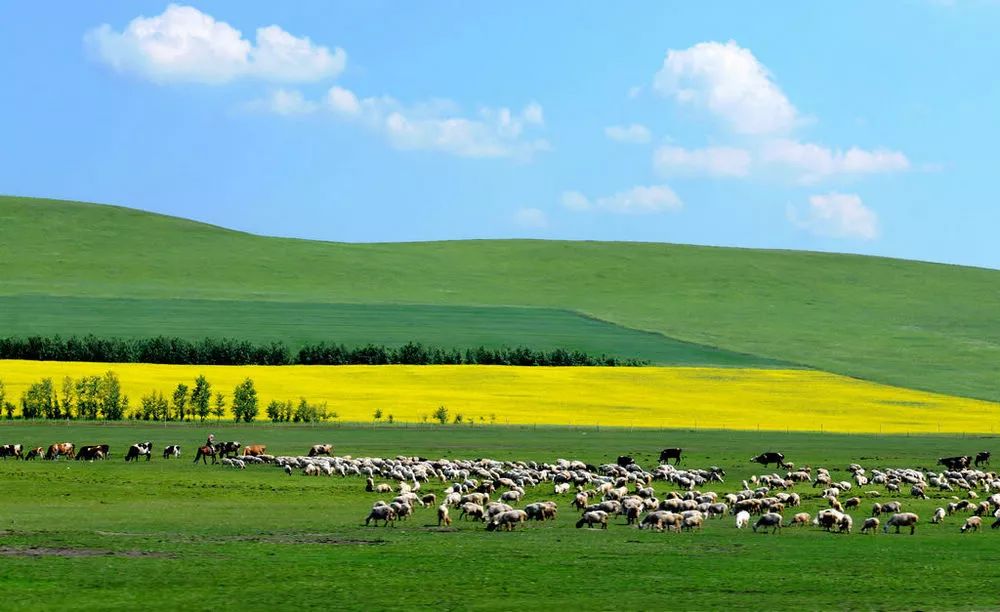 内蒙古,草原的诗情与远方的呼唤