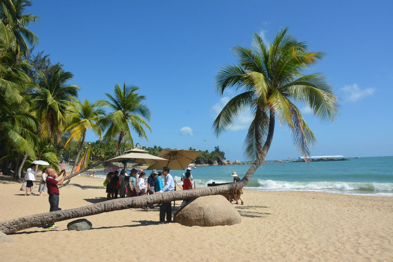 发现海南,遇见自然奇迹🌴🌊