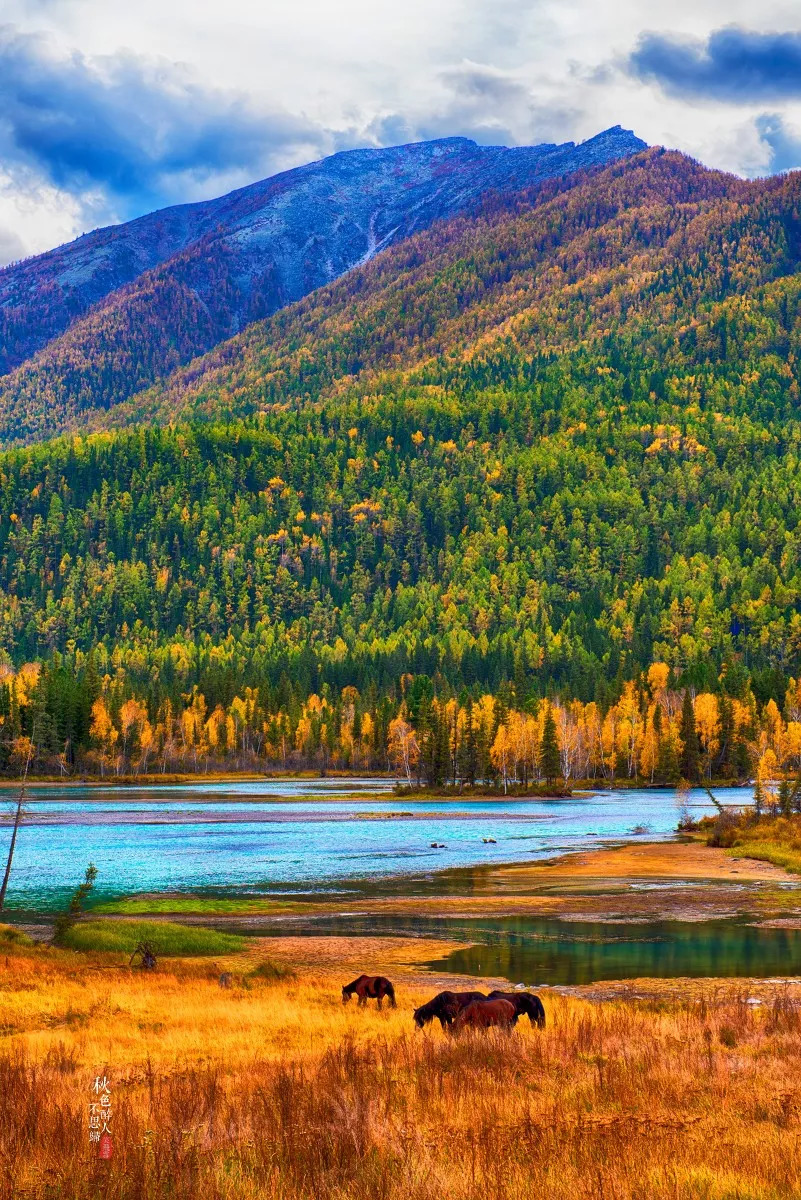 新疆阳光下的温馨故事