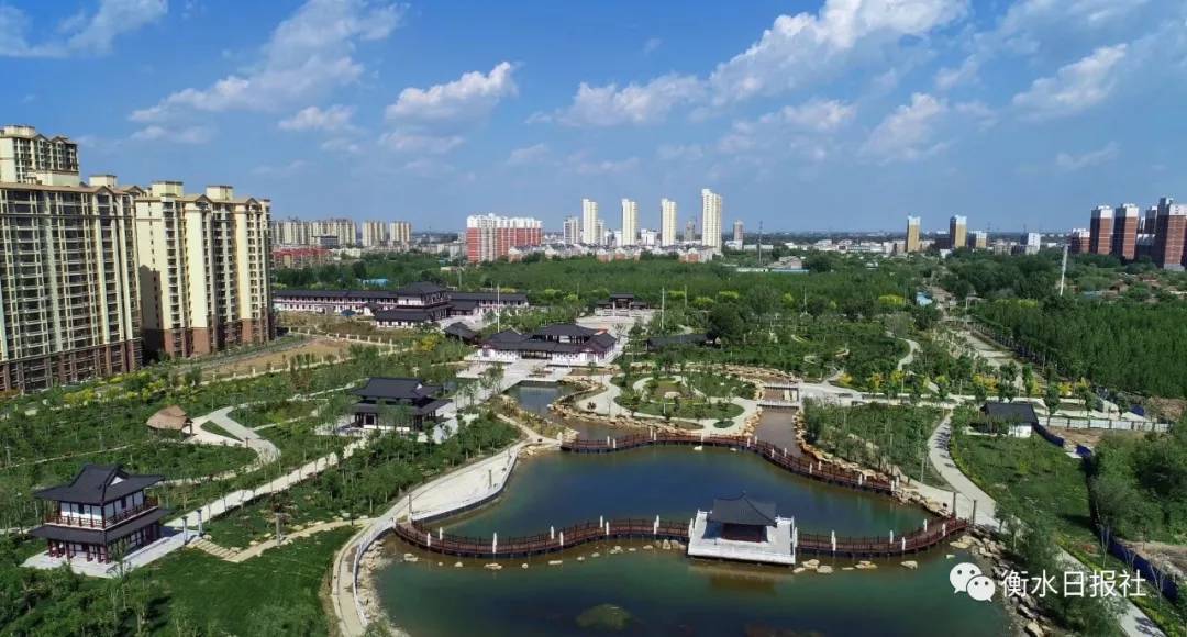 衡水清波,悠悠我心之旅